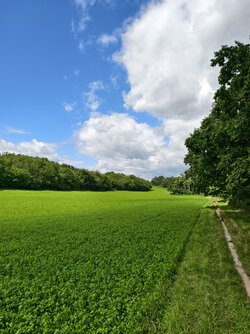 IMG_20250730_111358.jpg