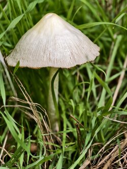 IMG_20250730_113259.jpg