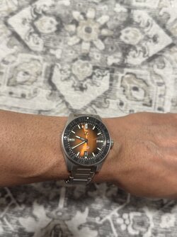 IMG_2882.jpeg