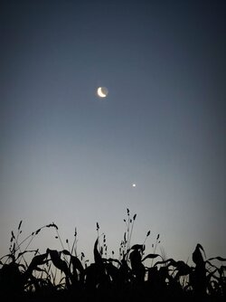IMG_20250622_042617.jpg