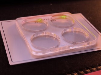 Xiaomi14TproCamGlass2.jpg Xiaomi14TproCamGlass2.jpg