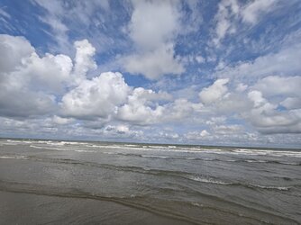 IMG_20250801_112827.jpg