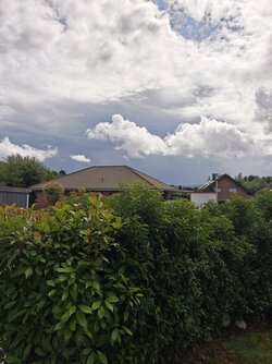 IMG20250801142448.jpg