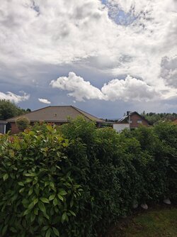 IMG20250801142428.jpg