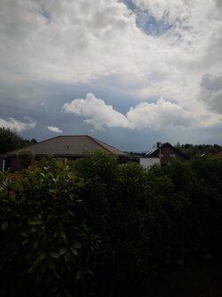 IMG20250801142424.jpg