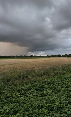 IMG_20250801_204955.jpg