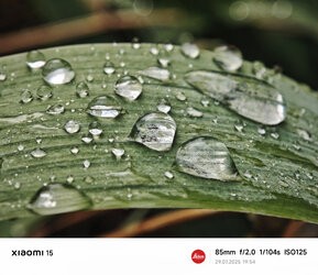IMG_20250729_195441.jpg