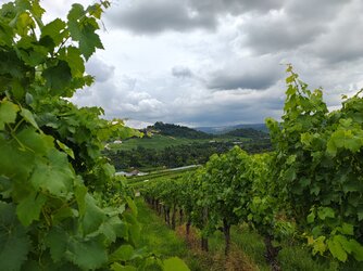 IMG_20250802_134349653_HDR.jpg