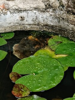 IMG20250802172420~2.jpg