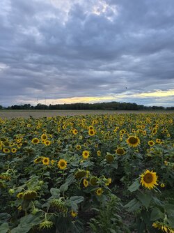 20250802_205605.jpg