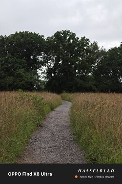 IMG20250802133644.jpg