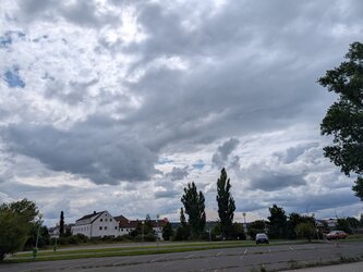 PXL_20250803_130911912.jpg