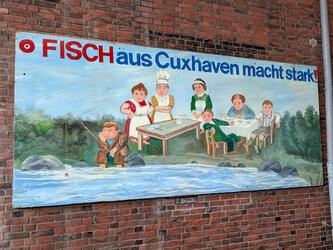 PSX_20250803_174909.jpg PSX_20250803_174909.jpg