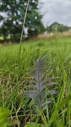 MVIMG_20250803_122343.jpg