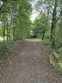 s2409.jpg