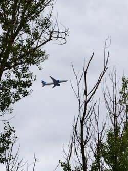 IMG_20250803_175424.jpg