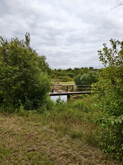 IMG_20250803_175719.jpg