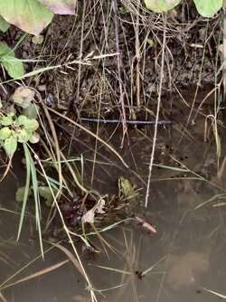 IMG_20250803_182455.jpg