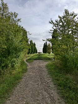 IMG_20250803_185226.jpg