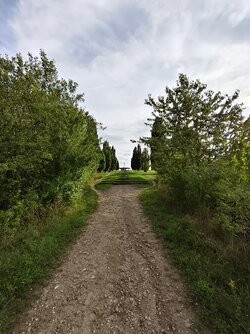 IMG_20250803_185228.jpg