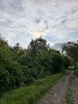IMG_20250803_185530.jpg