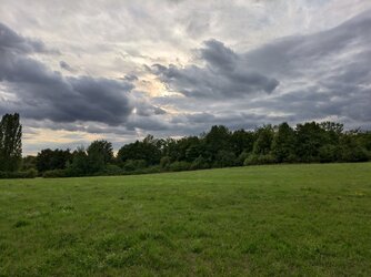 IMG_20250803_191812.jpg