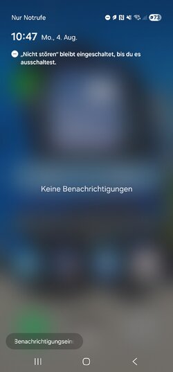 Screenshot_20250804_104752_One UI Home.jpg