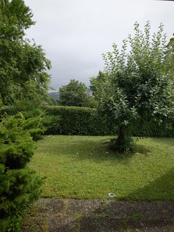 1000078029.jpg