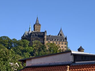 IMG_20250802_183429.jpg