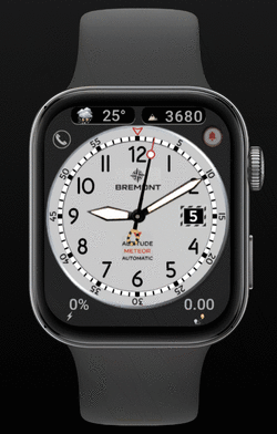 WFXBremont_animation.gif