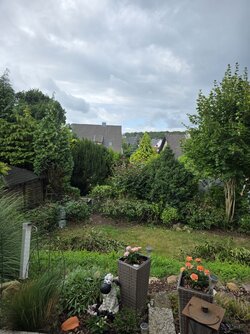 20250731_133110.jpg