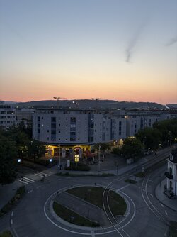 IMG_0872.jpg