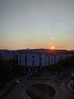 20250806_064437932.JPG