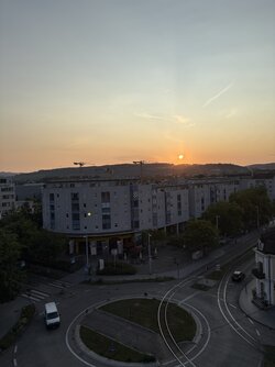 IMG_0875.jpg