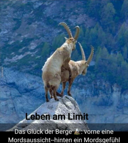 1754493875037.png