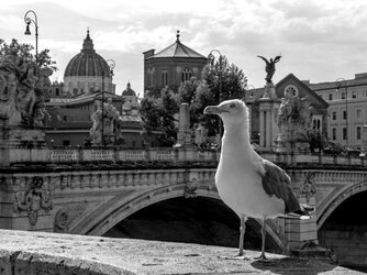 IMG_20250719_163851_1.jpg