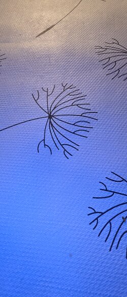 20250806_220810.jpg