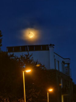 IMG_20250806_215547.jpg