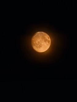 IMG_20250806_215639.jpg
