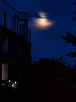 IMG_20250806_215850.jpg