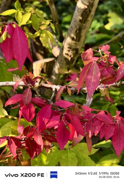 IMG_20250806_184416.jpg