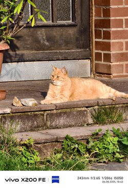 IMG_20250806_184309.jpg