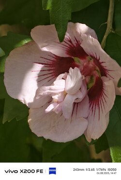 IMG_20250806_144740.jpg