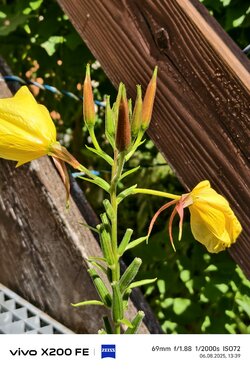 IMG_20250806_133942.jpg