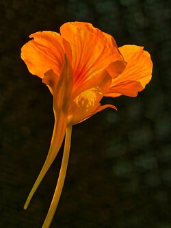 IMG_20250806_192602.jpg