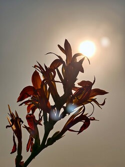 IMG_20250806_191328.jpg