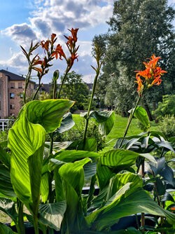 IMG_20250806_164748.jpg