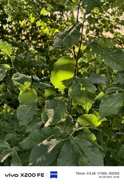 IMG_20250806_183855.jpg