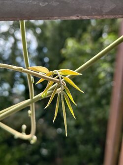 IMG_20250807_133435.jpg