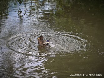 IMG_20250804_170645_1.jpg